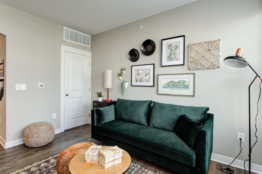 Apartment living room with couch, wall art, and lighting